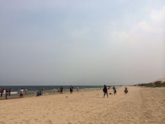 -翡翠岛