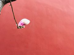 -东华门大街小区