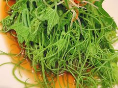 -苹果树下艺术餐厅(通州店)