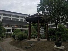 -绿园春早茶