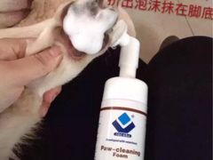 -爱宠屋pet shop·宠物洗澡·宠物美容