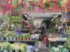 -溪岸路花鸟市场