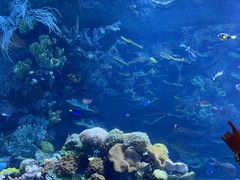 -欢乐海岸海洋奇梦馆