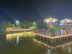 -一煲鸽