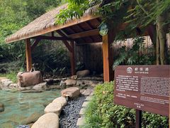 -宁海安岚·南溪阁全日餐厅