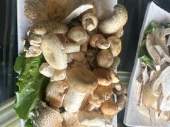 -野菌皇海景野生菌火锅(滨海大道店)