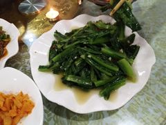 -谭家菜农夫山庄