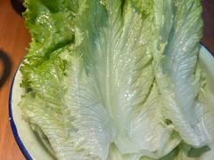 生菜-阳阳老火锅(小南门店)