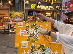 -金顺昌桂林桂花伴手礼(东西巷6店)