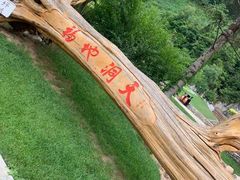 -俊家铁锅炖鱼(地工路店)