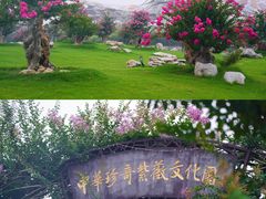 -江苏三台山国家森林公园