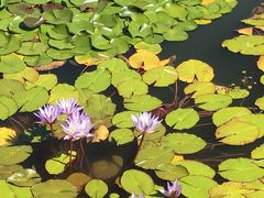 -国家植物园南园