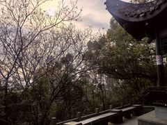 -杭州半山国家森林公园