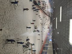 iphone_upload_pic-绍兴启迪乔波冰雪世界