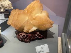 -湖南省地质博物馆