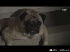 -久苑烧肉(世界城广场店)
