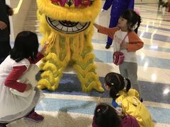 -重庆国际马戏城