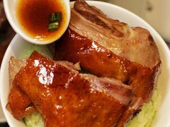 -新兴·金羊座·粤菜点心(乐峰店)