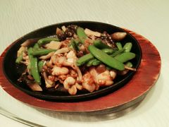 田鸡-朝(澳门伦敦人店)