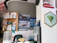 -关爱宠物医院·猫科中心·消化科(滨湖万达分院)