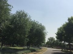 -永定河休闲森林公园