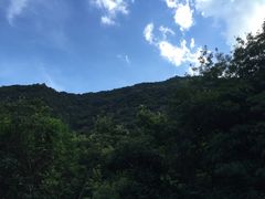 -银瓶嘴森林公园