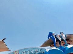 -欢乐水魔方水世界
