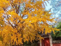 -青岛崂山太清宫