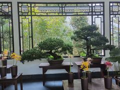 -杭州植物园