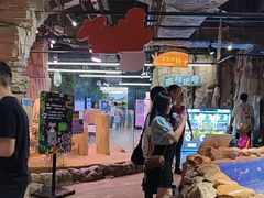 -正佳雨林生态植物园