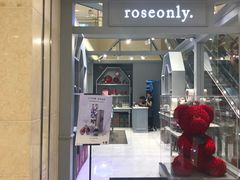 -ROSEONLY诺誓(国际广场购物中心店)