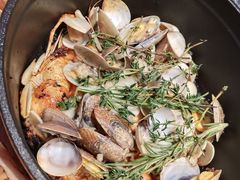 -千岛蚝高压锅生蚝·人参火锅(白云万达店)