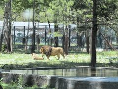 -秦皇岛野生动物园