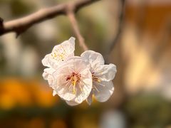 -白塘生态植物园