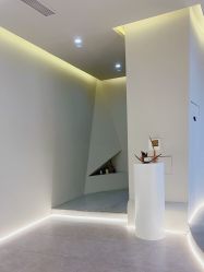 -VE专注问题肌·赛诺龙&科学美肤中心