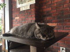 -B.O.M波姆烘焙(凤凰街店)
