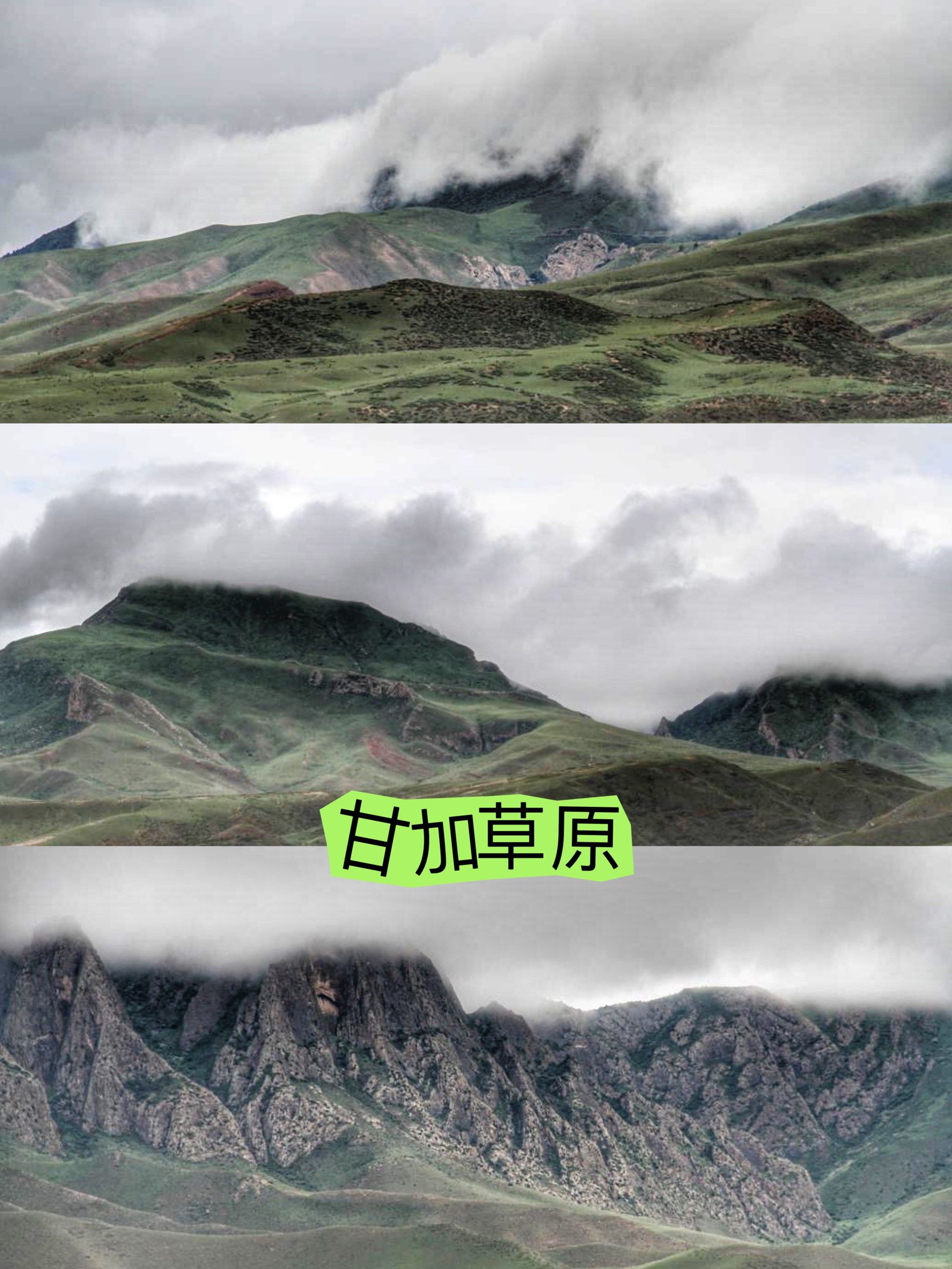 甘加草原属于草甸草原,平均海拔在3000米以上,是甘南藏族自治州的主要