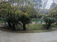 -黄兴公园