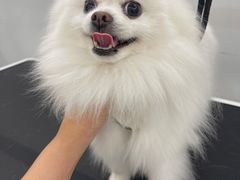 -comecome来吧宠物(奥克斯中心店)