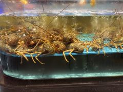 -阿伟海鲜楼·福建菜(延寿店)