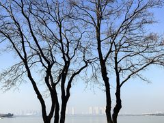 -瑶湖郊野森林公园