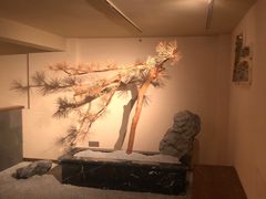 -春熙台韩国料理·章鱼肥牛(西丽店)