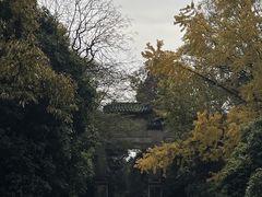 -灵谷景区