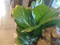 -老绥元烧麦·家常菜(大召店)
