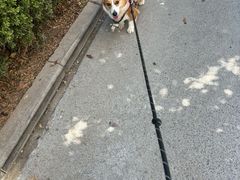 -心仪动物医院·牙专科·肿瘤·心脏科(西客站院)