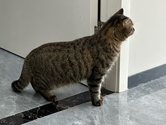 -芭比堂动物医院·CT·微创中心(新顺分院)