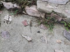 -北京十三陵国家森林公园蟒山景区