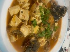 -煲来饱去冷水鱼