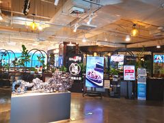 -查特花园美食广场(西单大悦城店)