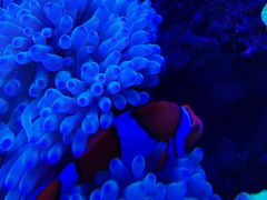 -多彩贵州城极地海洋世界